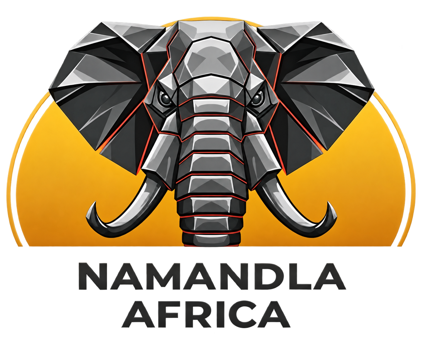Namandla Africa